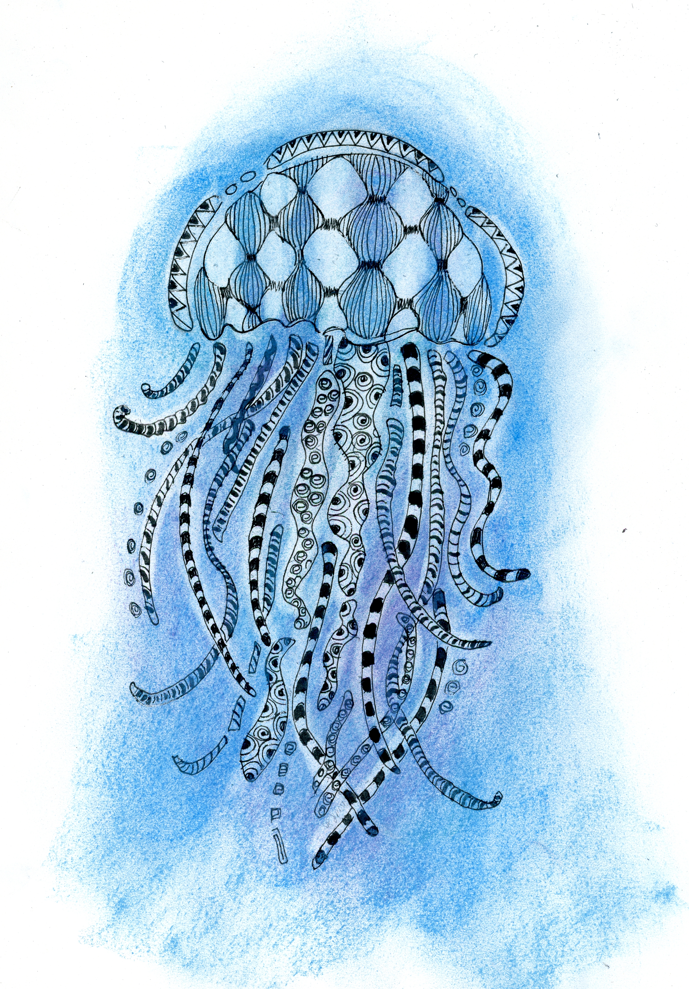 A pen & ink drawing of a jellyfish drawn with different patterns with a blue background 