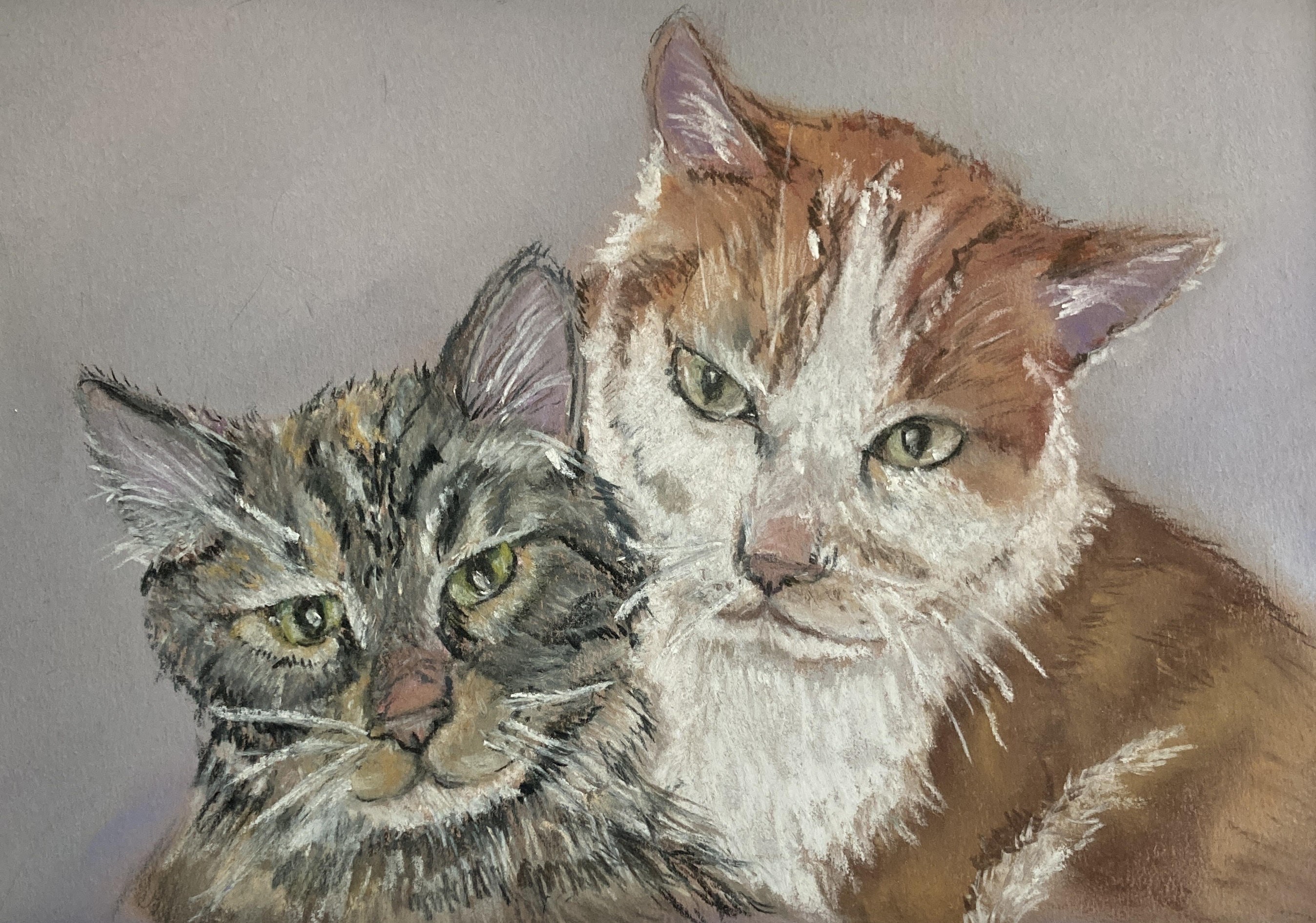 a Portrait of two cat friends, one an orange tabby and the smaller one a mix of grey colors 