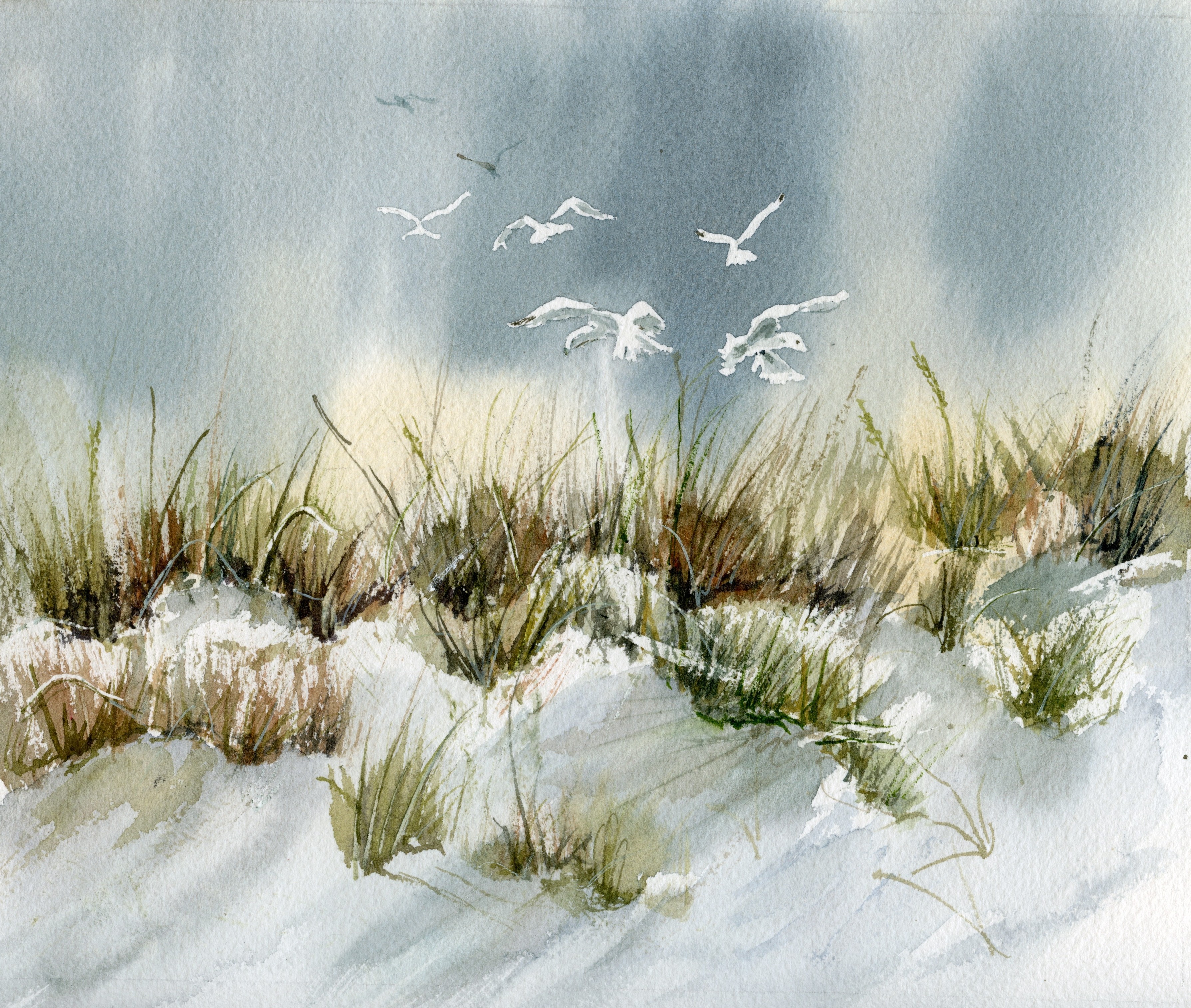 Seagulls flying above the sand dunes