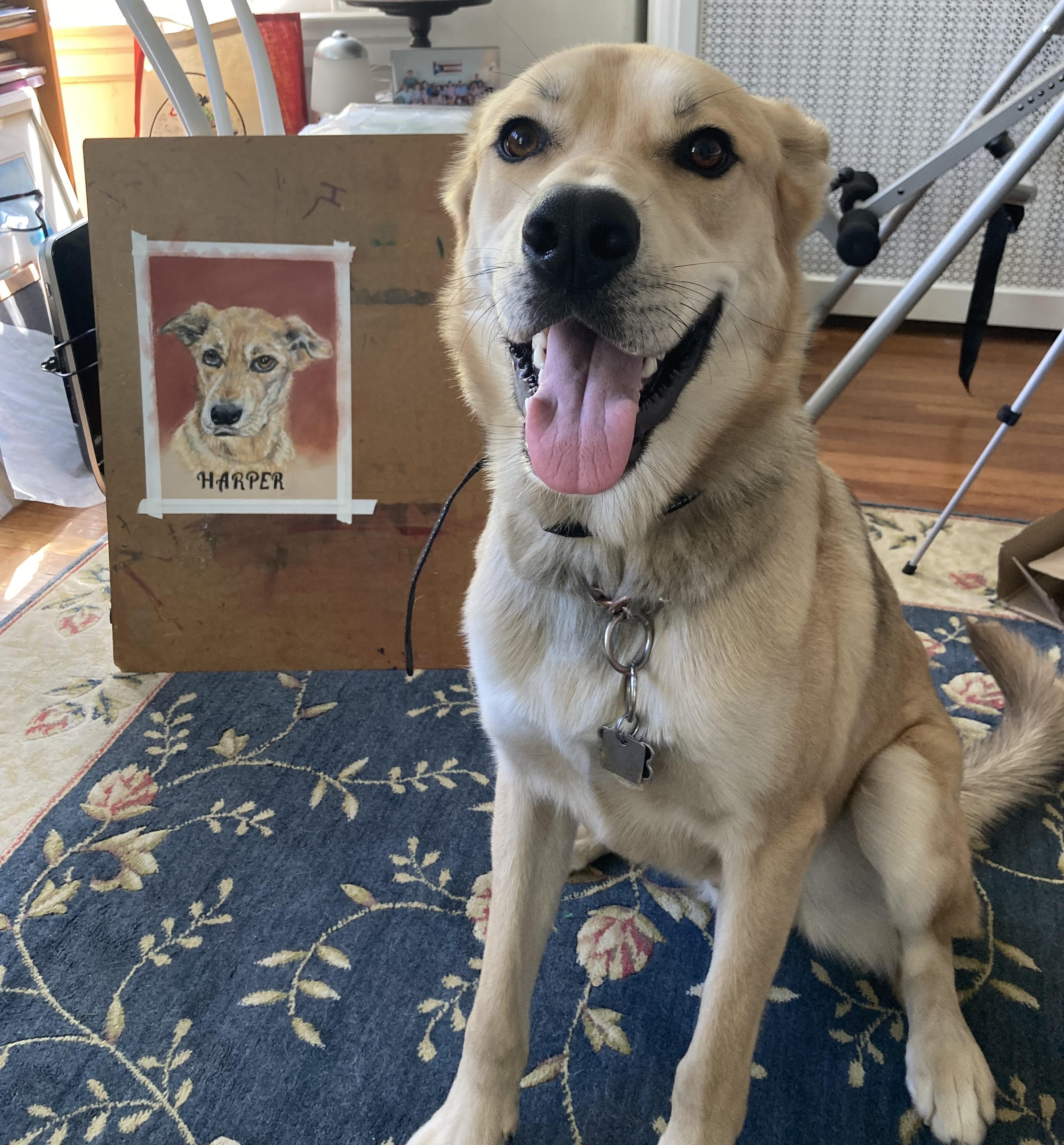 Photograph of Harper to sue for my commission work