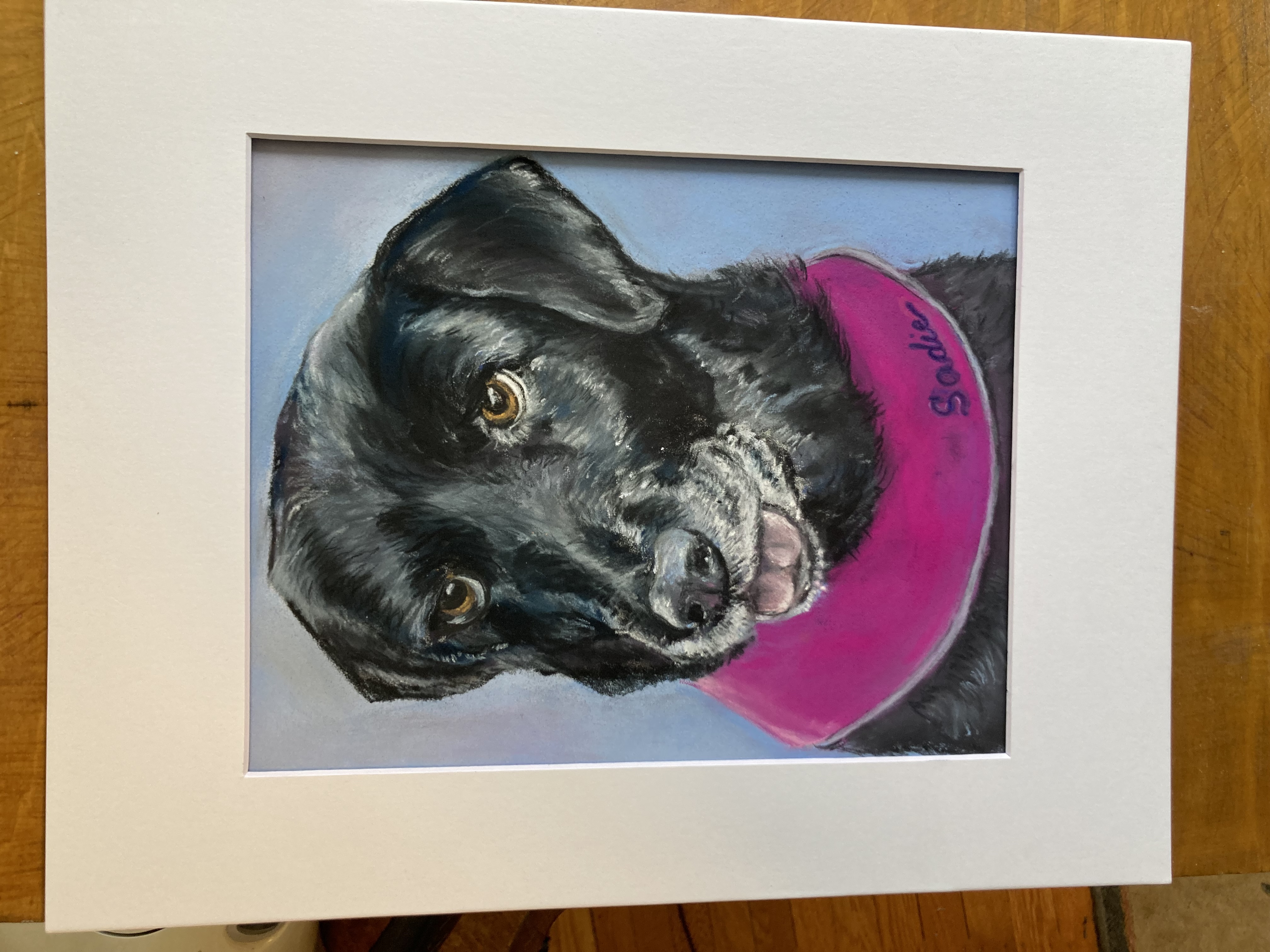 Matted pastel pet portrait of a black lab with a red collar