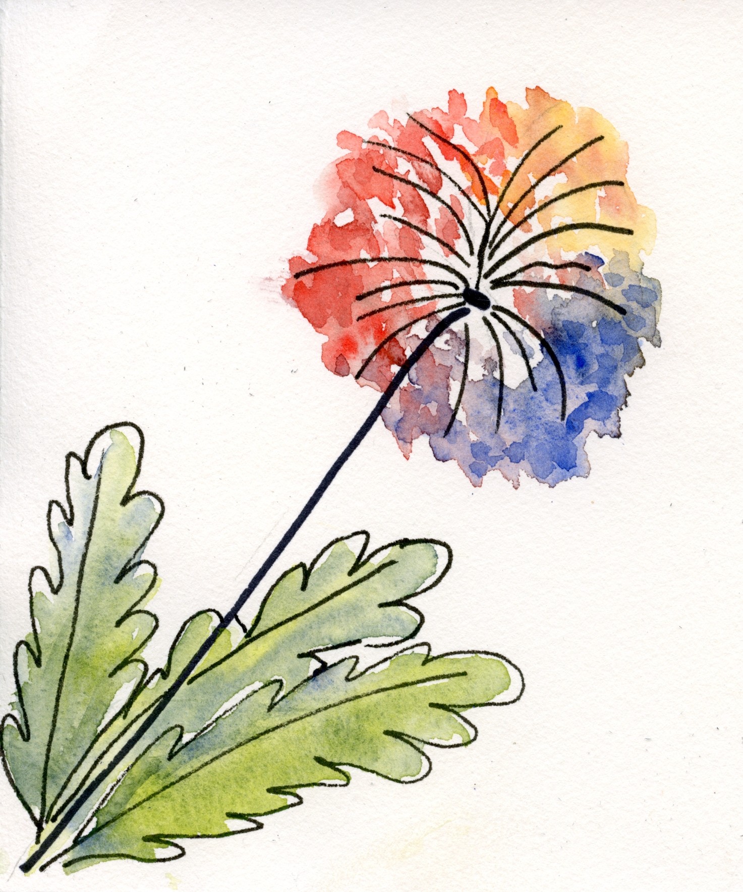 a flower with multi colored petals and two green leaves